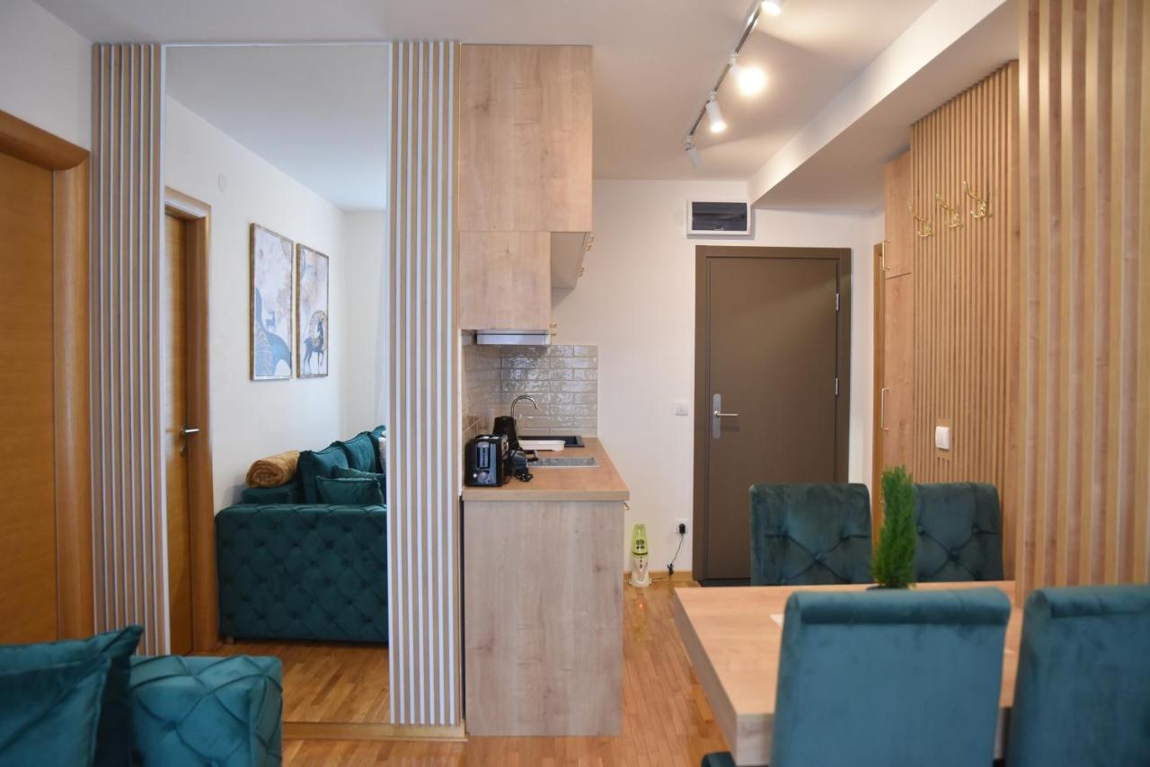 Apartman Lucija 9D57 Kraljevi Cardaci كوباونيك المظهر الخارجي الصورة