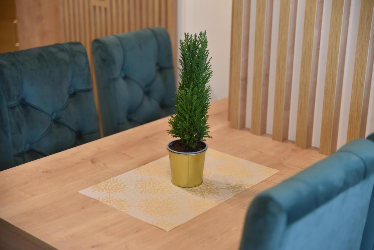 Apartman Lucija 9D57 Kraljevi Cardaci كوباونيك المظهر الخارجي الصورة